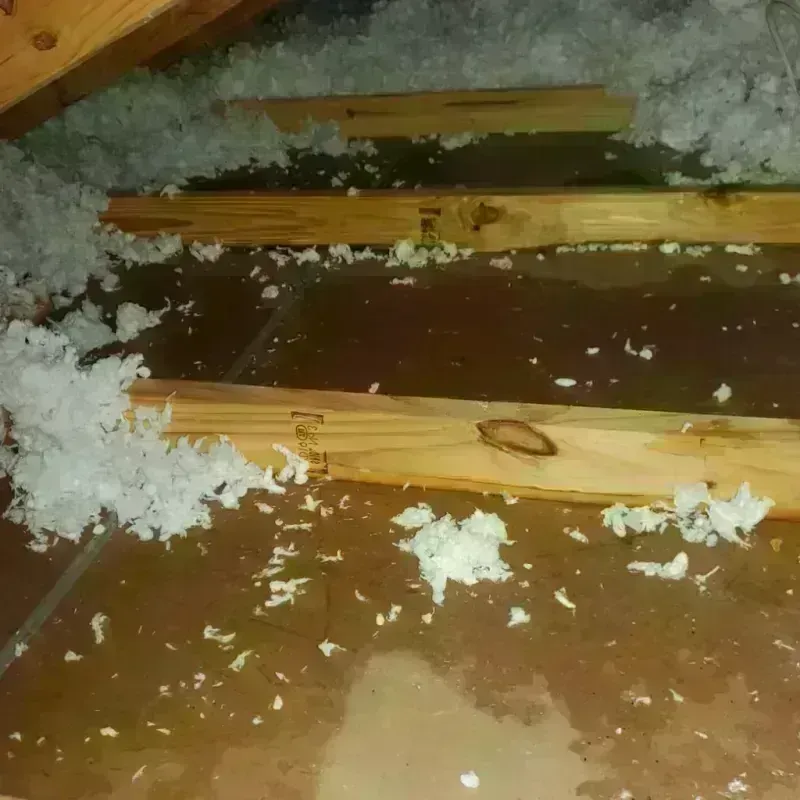 Attic Water Damage in Litchfield, IL