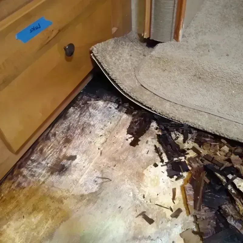 Wood Floor Water Damage in Litchfield, IL